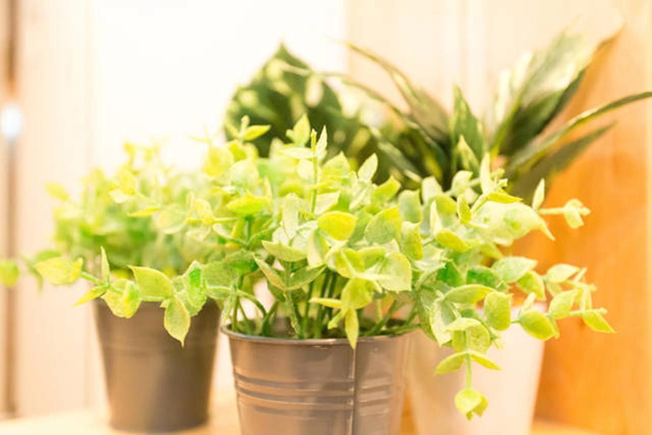 Taisho Terrace House Villa Osaka Ngoại thất bức ảnh